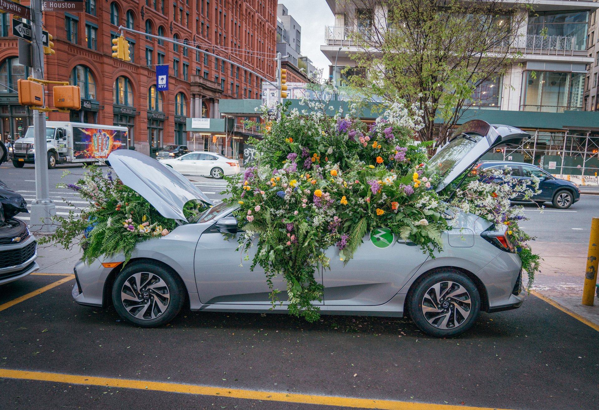 Living greenery in Larkspur Botanicals Zipcar Earth Day Flower Flash activation.