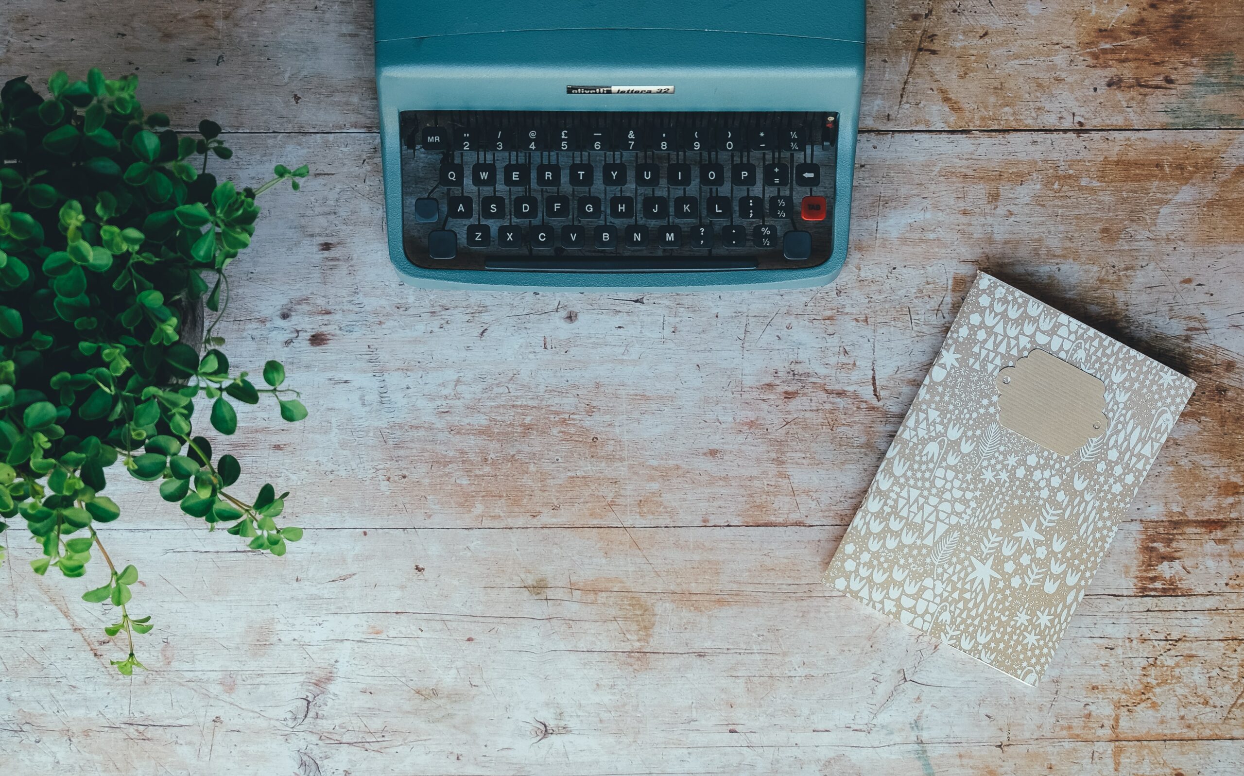 Wooden desk with typewriter and plant