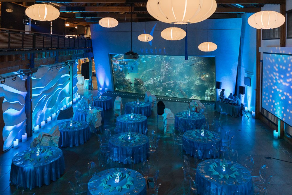 Seattle Aquarium setting up for an event with multiple tables and blue and green uplighting