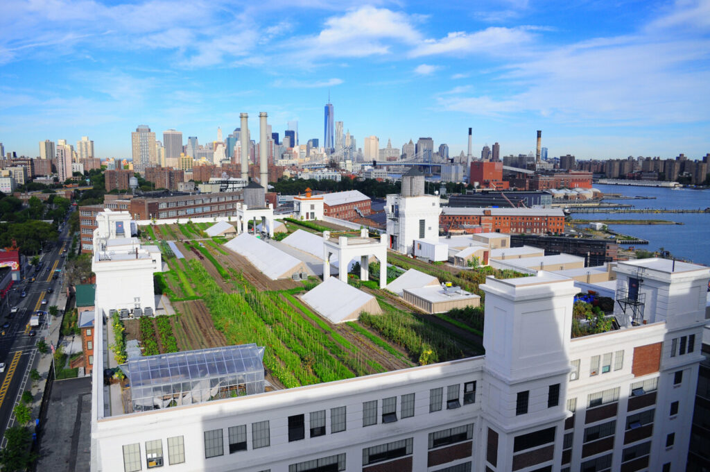 Brooklyn Grange Brooklyn rooftop venue with city view