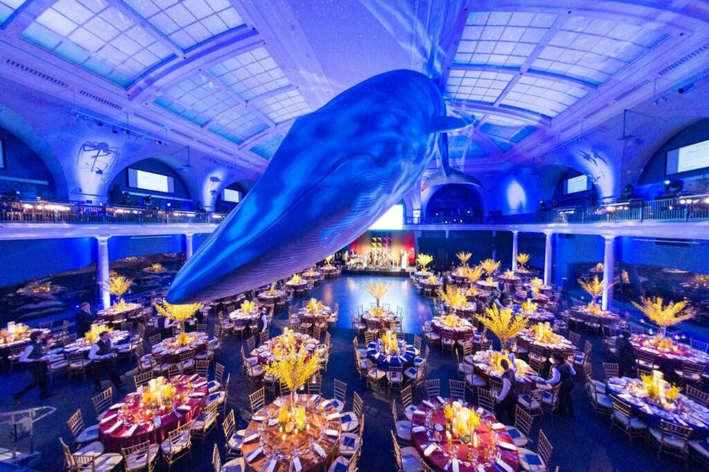 American Museum of Natural History set up for a large dinner event