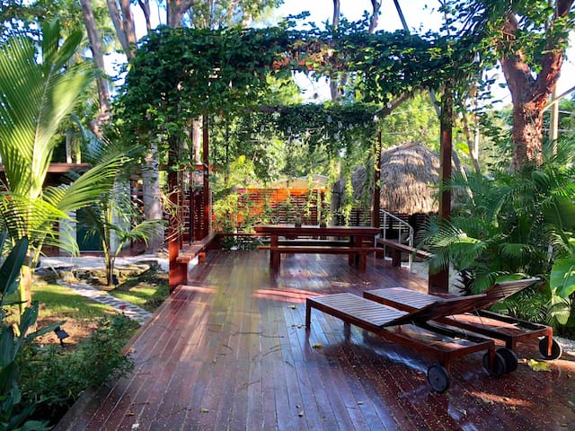 The Grove Sanctuary with hanging greenery