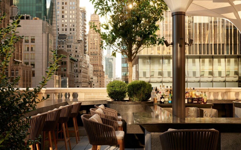 Rooftop bar with potted plants and views of New York City
