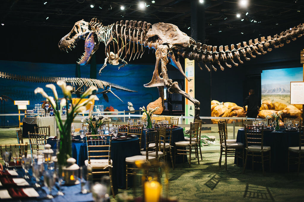 A unique event space with high exposed ceilings and different kinds of dinosaur fossils 