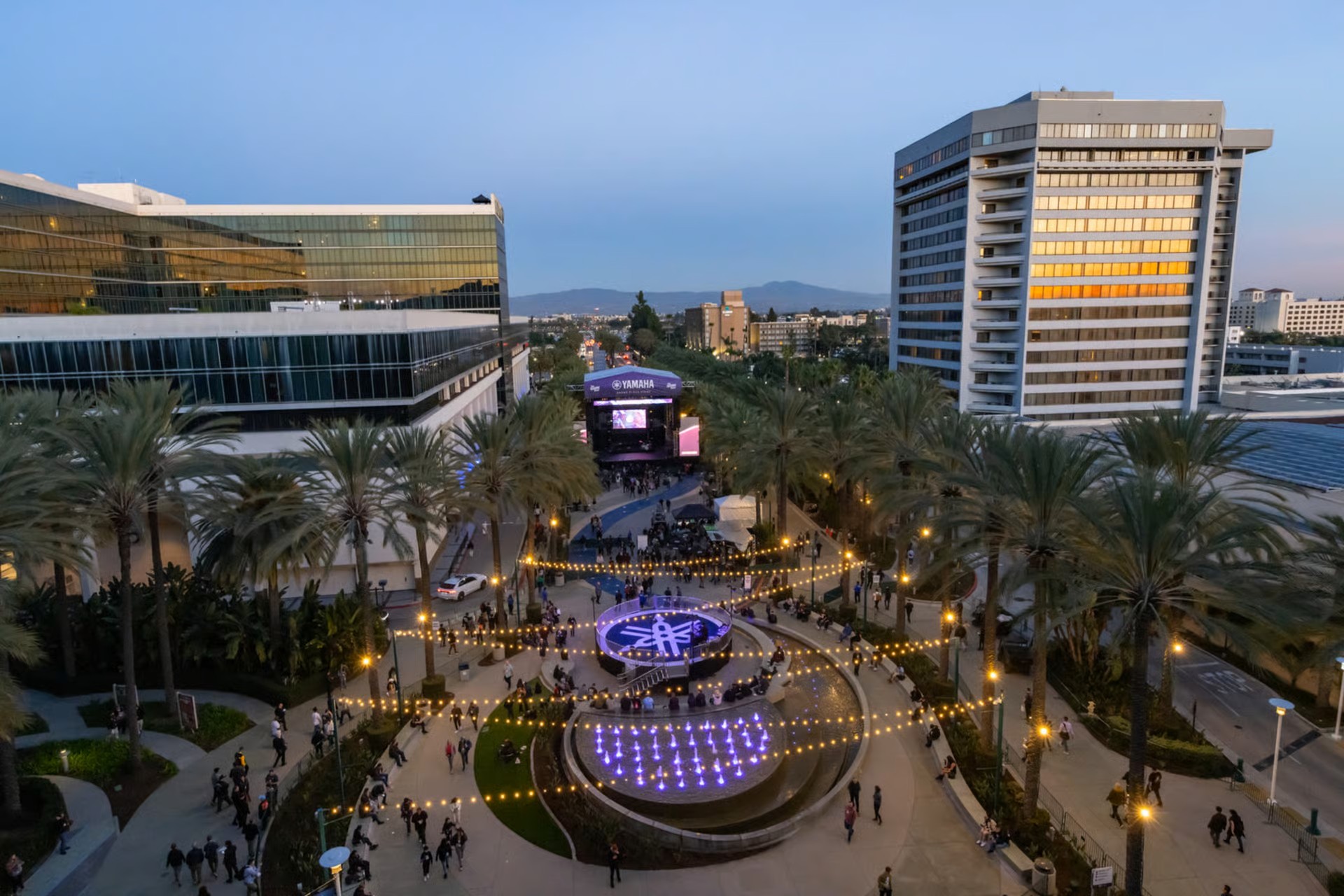 Anaheim 9