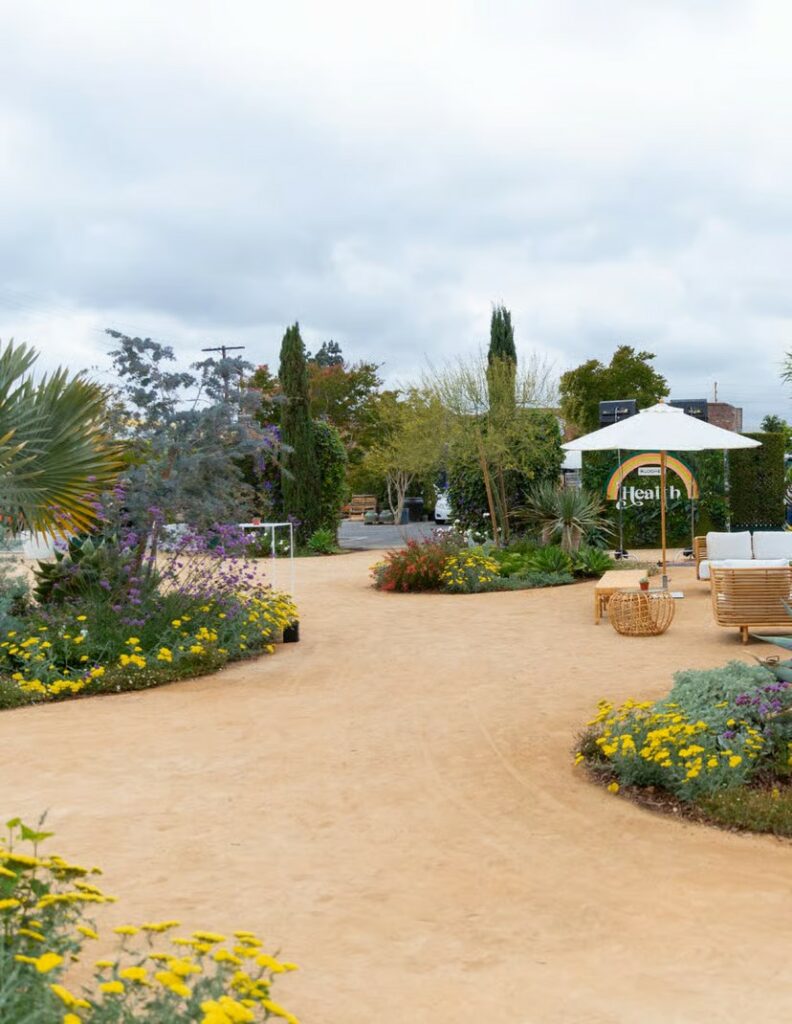 The Garden