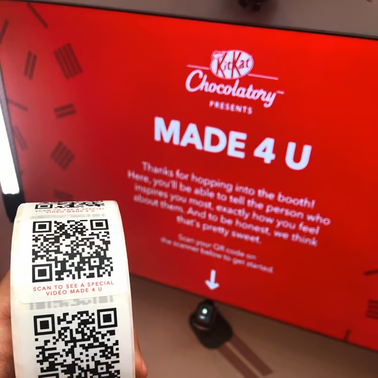 Cvs6