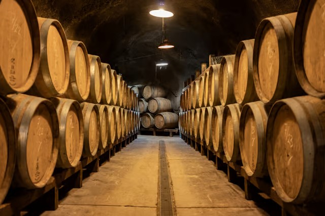 Domaineden11